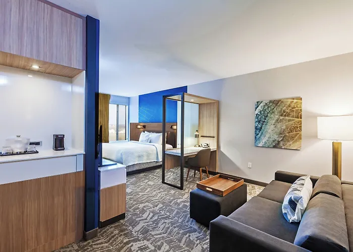 Hotel Springhill By Marriott At Hills 3*