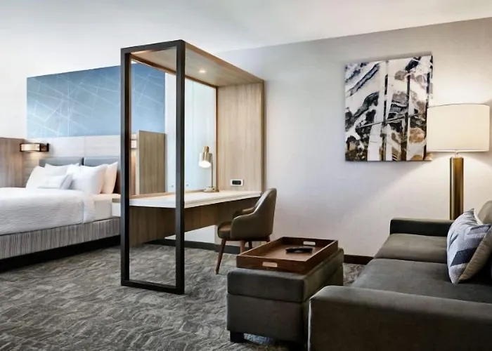 Hotel Springhill By Marriott At Hills 3*