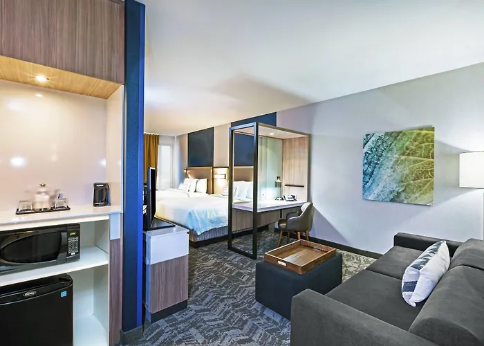 Hotel Springhill By Marriott At Hills 3*