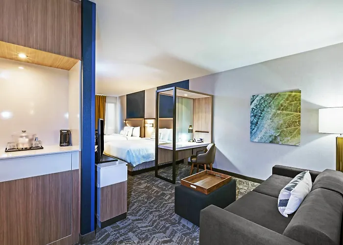 Hotel Springhill By Marriott At Hills